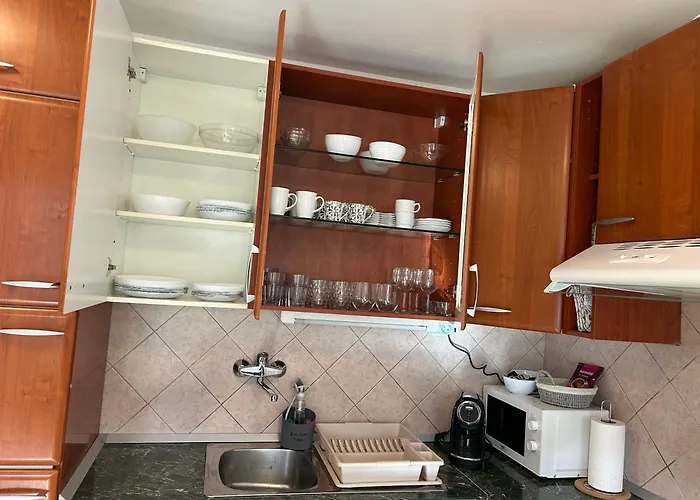 Lorry 1 -with Thermal Riviera Tickets Brežice