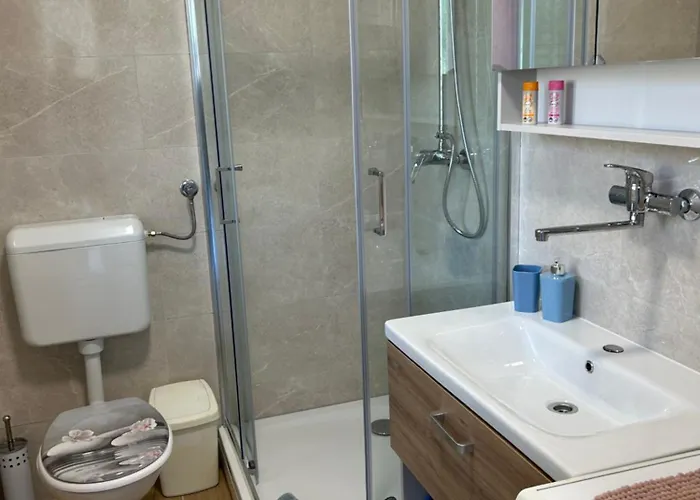 Lorry 1 -with Thermal Riviera Tickets Vakantiehuis Brežice